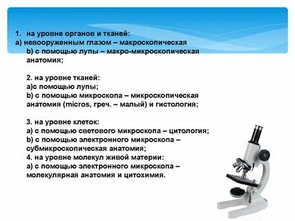 Сделайте анализ терминов по тэ osteologia pathologia