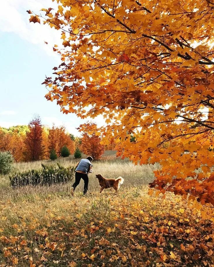 October first. Осень. Осенний пейзаж. Мгновения осени. Осенние картинки.