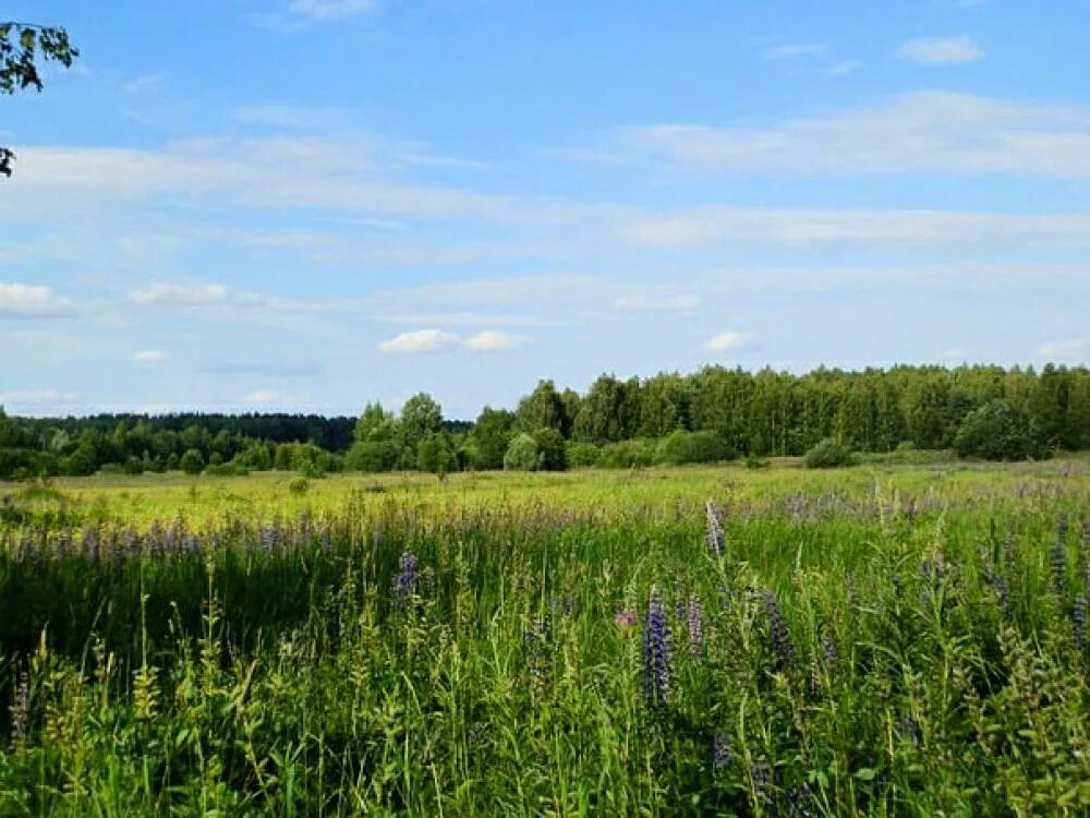 Миловский парк уфимский район. Миловский парк стройка. Школа уфимский район миловский парк. Жк миловский парк уфа. Русские просторы.