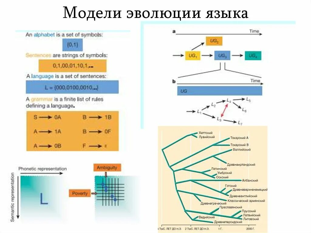 Основные модели эволюции. Эволюционное моделирование. эволюционная модель. методы моделирования эволюции. эволюционное моделирование ии.