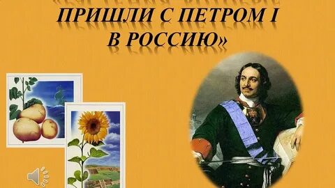 Растение петра первого
