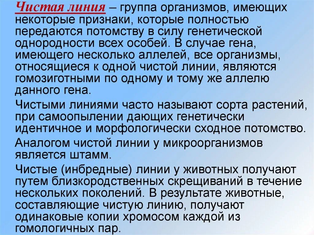 Чистая линия это потомство. Чистые линии группы организмов. Чистая линия генетика. Чистые линии это организмы. Что такое чистая линия в биологии генетика.