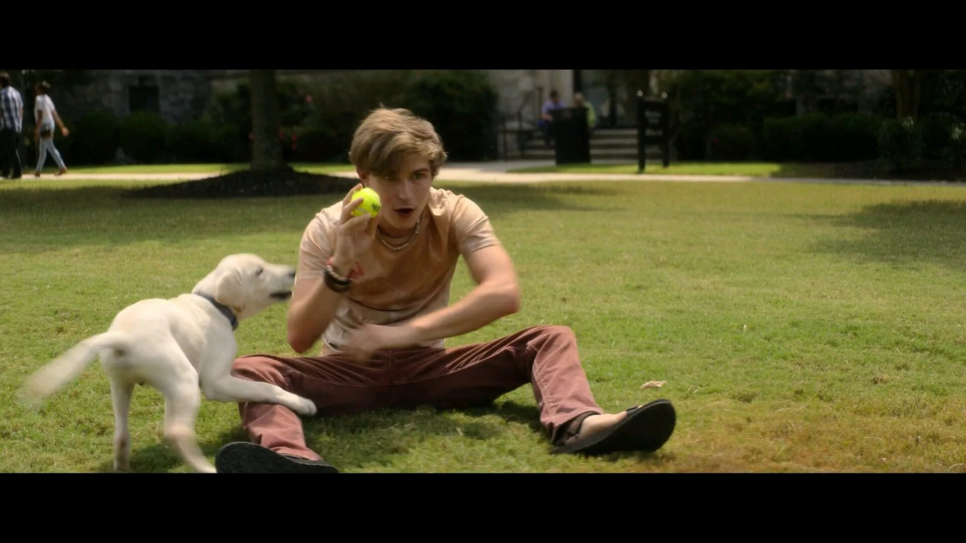 Gone dogs. Ходли собака. Gone dogs. Doggone dogfight. Bad dog с табличкой.