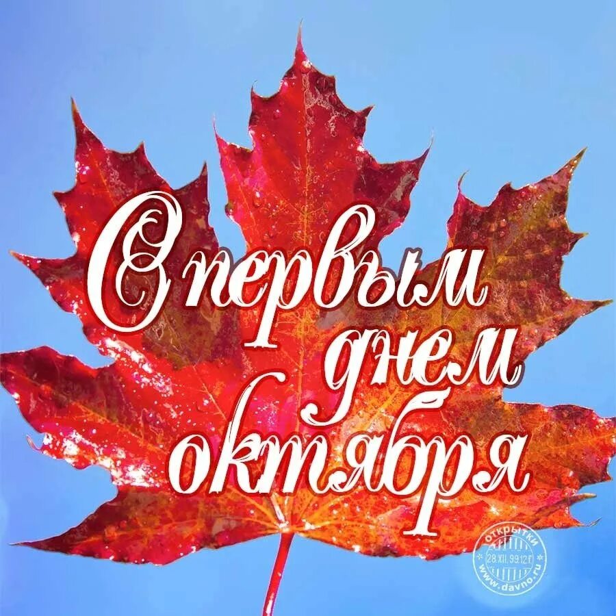 Открытки с добрым последним днем октября. С первым днем октября. поздравить с первым днем октября. с первым днем осени. с первым днём октября пожелания.