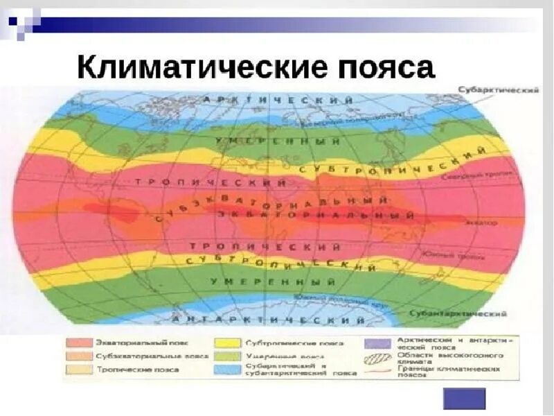 Сравнив карты физическую климатических поясов