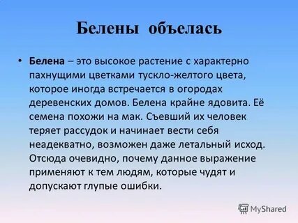 Белены объелась это что