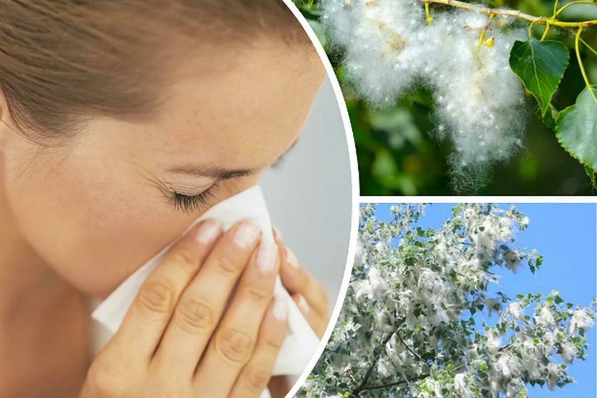 Летний насморк. Аллергия на Тополиный пух. Сезонная аллергия. Аллергия на пыльцу. Весенняя аллергия.