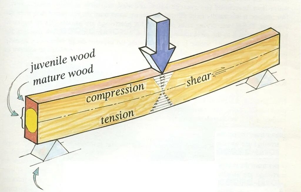 Beam failure. Timber beam. beam перевод. wooden beam. modelar beam.