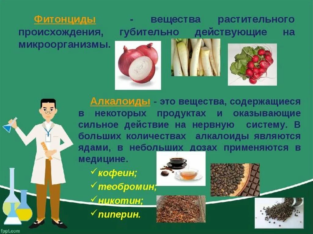 Роль органической химии решение проблем пищевой безопасности. Вещества растительного происхождения. Продуктов питания растительного происхождения. Растительная и животная пища. Продукты растительного происхождения.