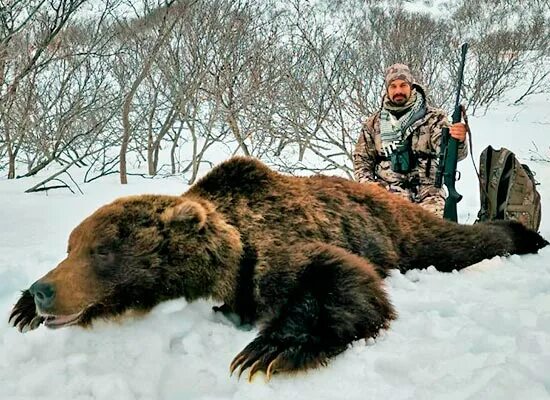 Трофейная охота на камчатского медведя и снежного барана в районе п. Палана