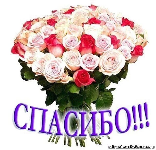 Спасибо то что рассказала. Огромное спасибо. благодарность цветы. букет цветов с благодарностью. букет &quot;благодарность&quot;.