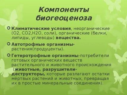 Деньги обществознание 11 класс