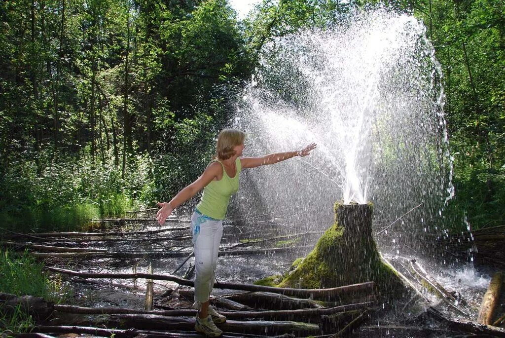гатчинский парк павильон орла. гатчинские парки и сады. гатчина куда сходить с ребенком. гатчина куда сходить с ребенком. музей великанов в спб.