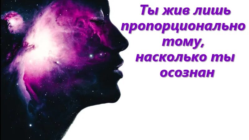 Насколько ты прожил