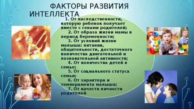 От кого передается интеллект ребенку генетически. Интеллект наследуется. интеллектуальные способности наследуются. интеллект наследуются от отца. от кого передается интеллект ребенку.