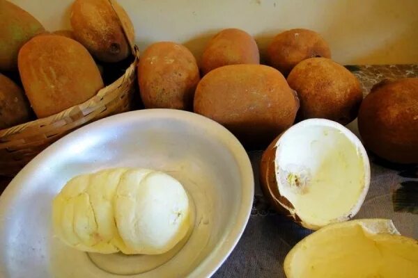 Descubra como crescem suas frutas, legumes e temperos favoritos