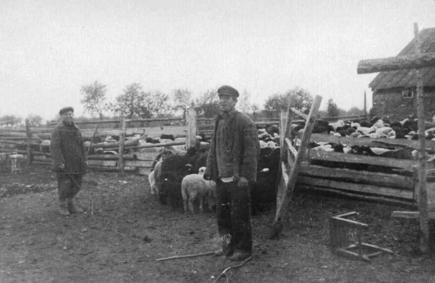 Колхоз движение. Фермеры старой полтавки. коллективизация хутор средние чубурки. история колхозного движения. волга деревня колхозник.