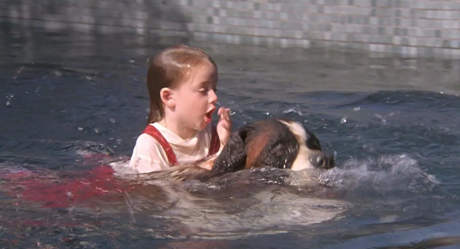 Сара роуз карр 1992. Ньюфаундленд собака спасает людей. Моменты с собаками. Собака спасатель в снегу. Собака спасает девочку.