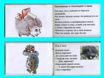 Несть бо тайно еже не явленно будет