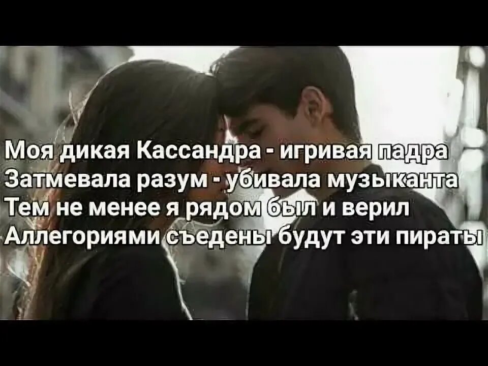 Кассандра текст. Моя Дикая Кассандра тек. Дикая Кассандра текст. Текст песни моя Дикая Кассандра.