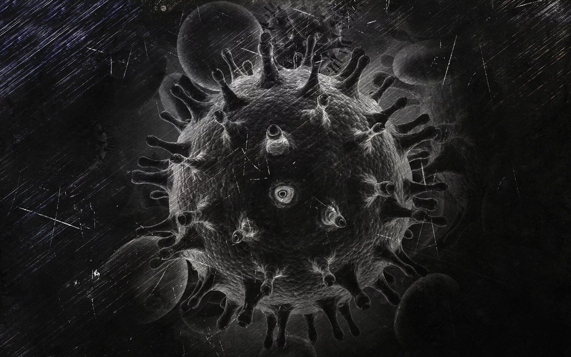 Черный вирус. Вирусы на темном фоне. Коронавирус на черном фоне. Вирус черно белый.