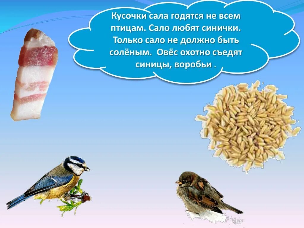 Какую крупу можно давать синичкам