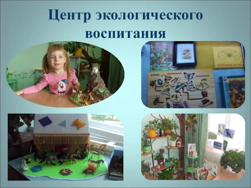 Уголок живой природы в доу. Центр экологического воспитания. Экологический проект в детском саду. Уголок живой природы в детском саду. Уголок экологии в старшей группе.