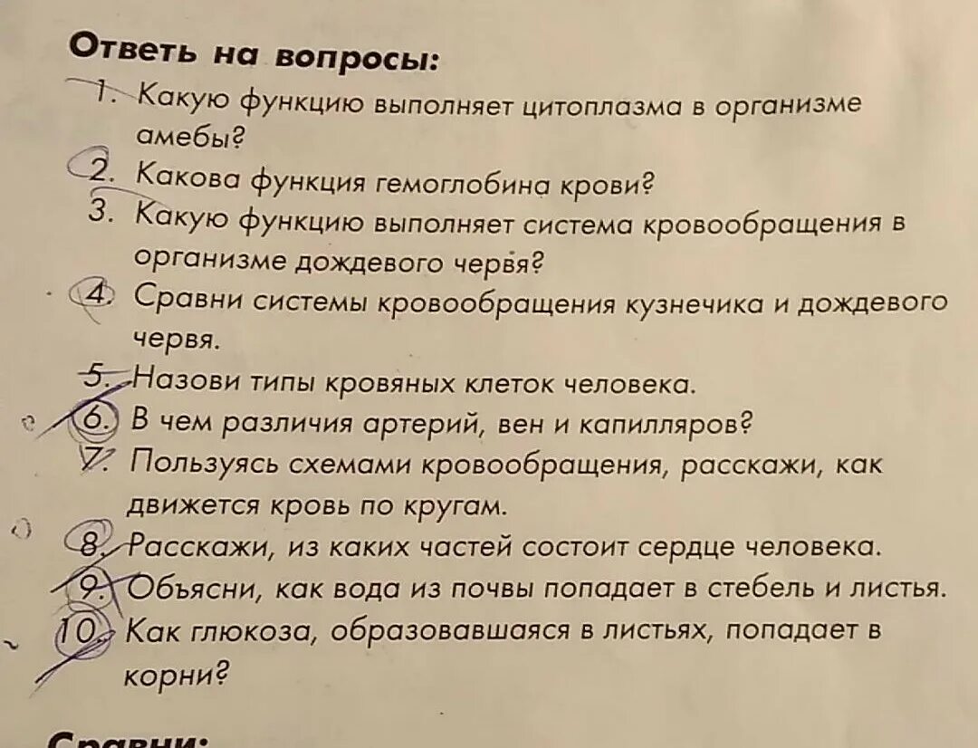 10 вопросов по биологии. Вопросы по биологии. Сложные биологические вопросы. Смешные вопросы по биологии. Сложные вопросы по биологии.