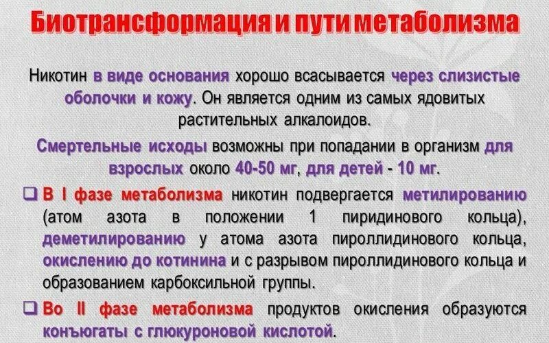 Через сколько выходит полностью никотин из организма. Выведение никотина из организма. Сколько выходит никотин из организма. Через сколько никотин выходит из организма. Сколько выводится никотин из организма.