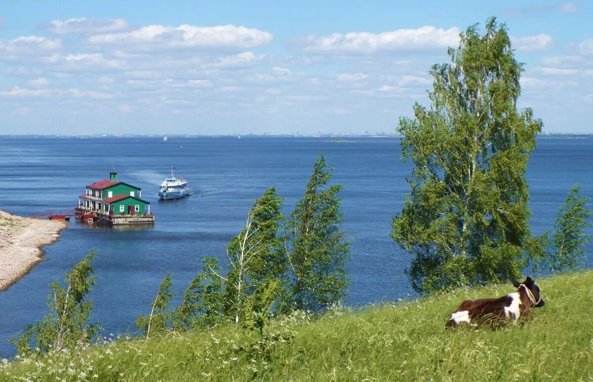 Решено было пристать к берегу. Пристань в Матюшино Волга. Берег в Матюшино Волга Волга. Ярославль остров на Волге. Пристань Лабышка Волга.