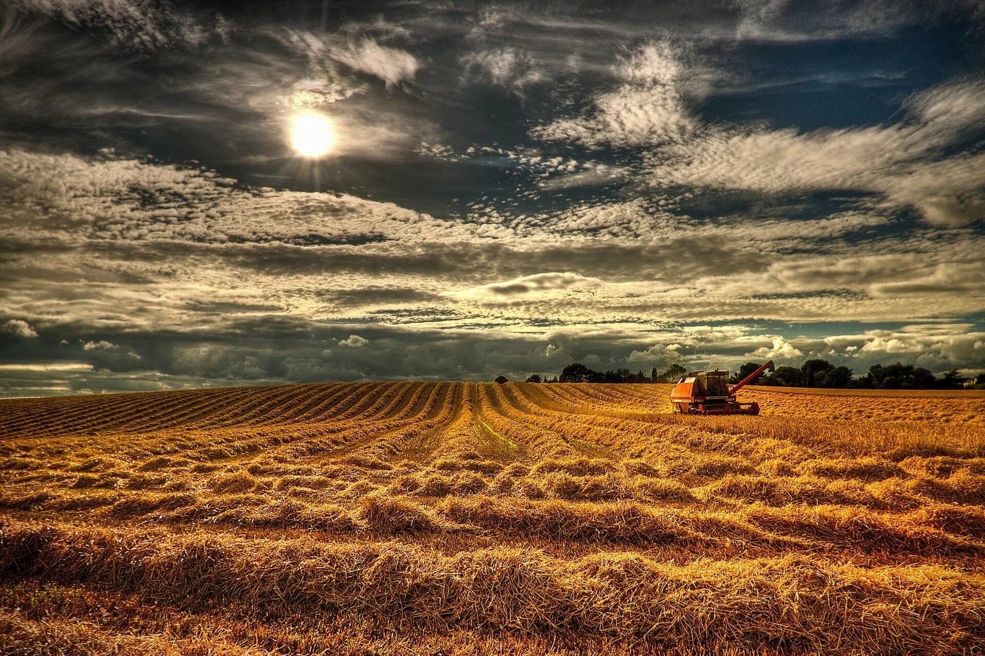 Русское вспаханное поле. Поле сельское хозяйство. Сельское хозяйство пейзаж. Поле урожай. Поле пшеницы.
