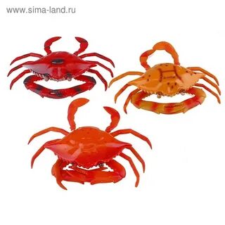 Пружина для крабика