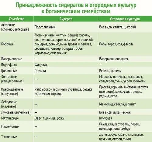 После помидор можно ли садить. Таблица сидератов для овощных культур. Таблица совместимости сидератов и овощных культур. Сидераты грунты. Таблица севооборота овощных культур и сидератов.