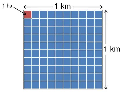 10 метров 1 км