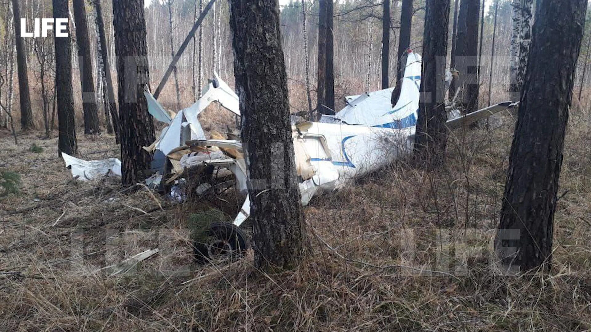 Падение легкомоторного самолета. Крушение самолета под иваново