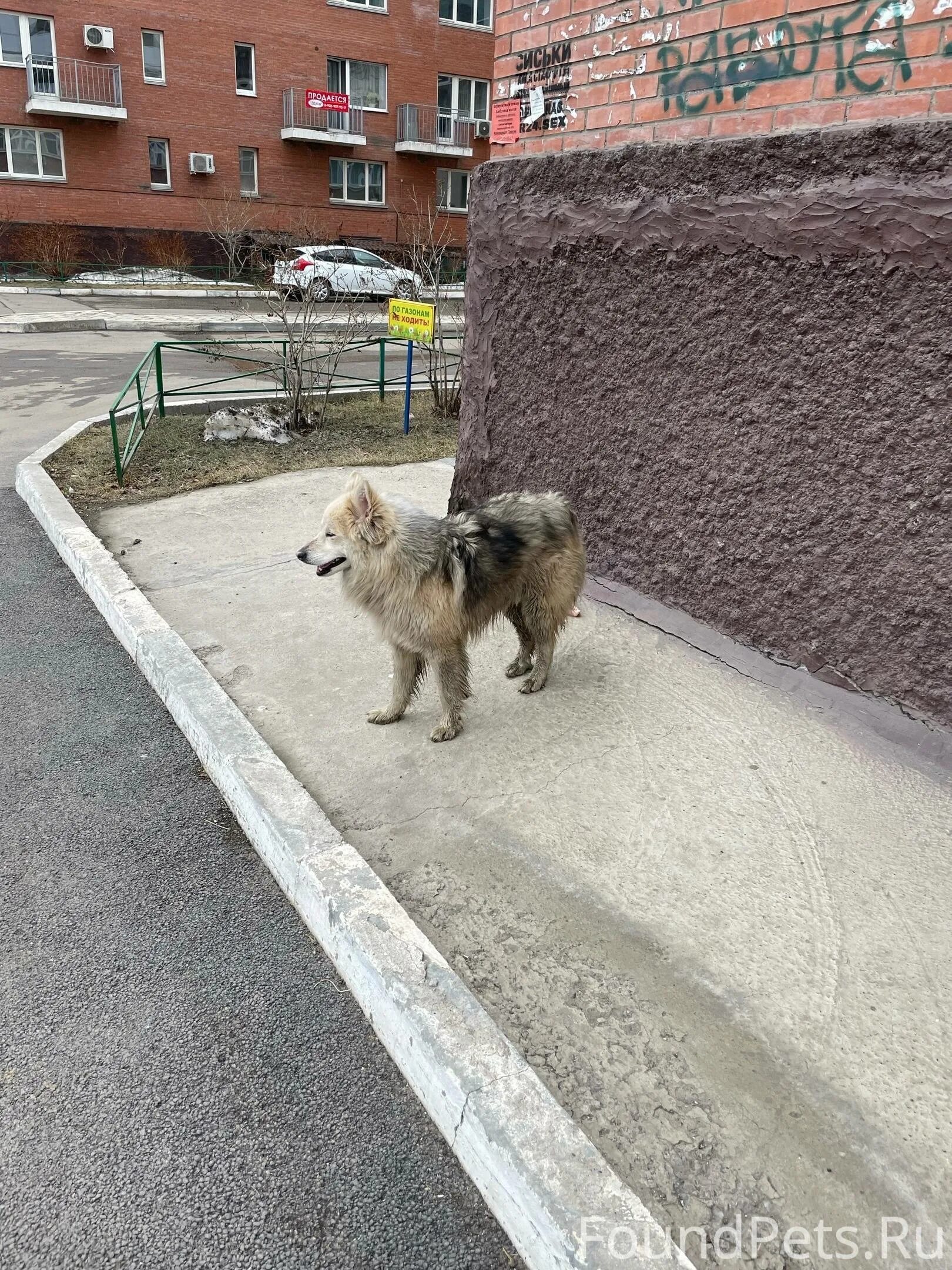 Близь лежащих. Близь лежащих