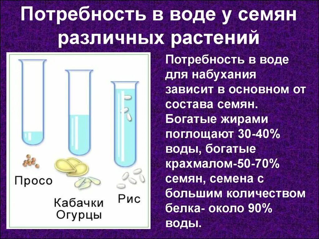 Наличие воды. Потребность семян в воде. Потребность в воде для прорастания семян. Потребность в воде для прорастания семян различных растений. Опыты с семенами и водой.