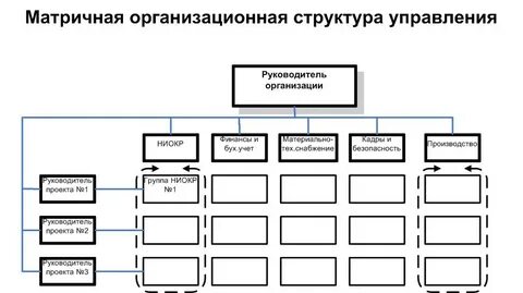Структура управления комитета