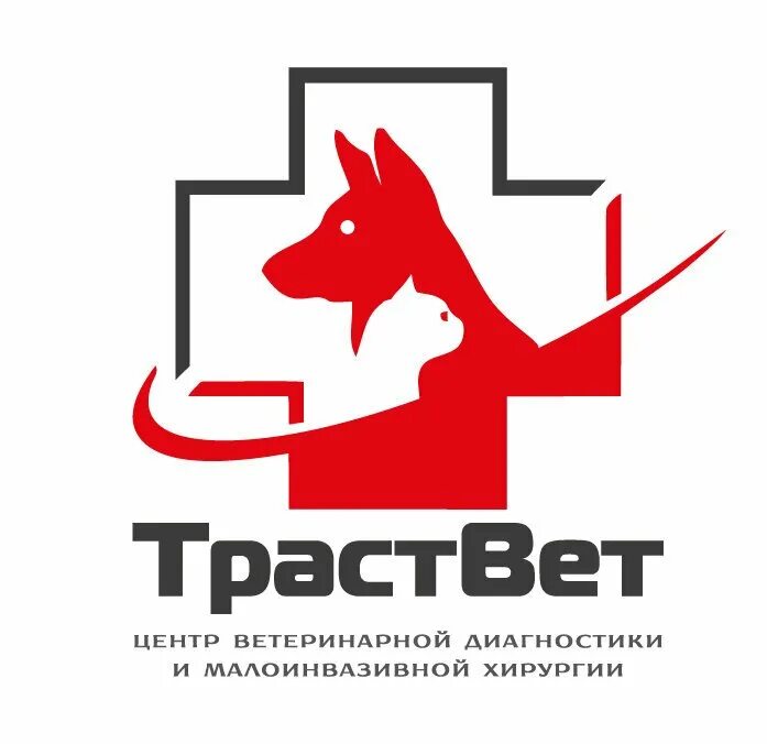 Ветклиники спб рейтинг. Львовская 10 спб ветклиника. Государственные ветеринарные клиники санкт петербурга. Львовская 10 спб ветклиника. 13.