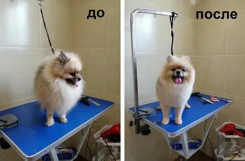 Зоосалон одинцово