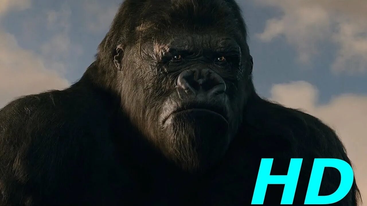 Kong scene