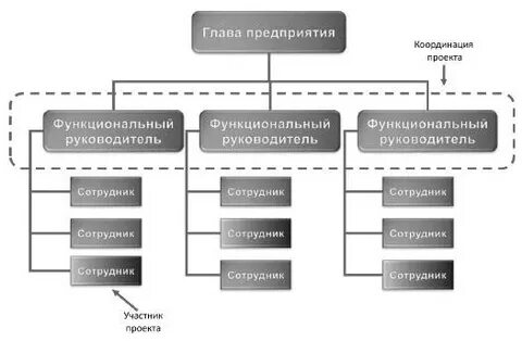 Структура синоним