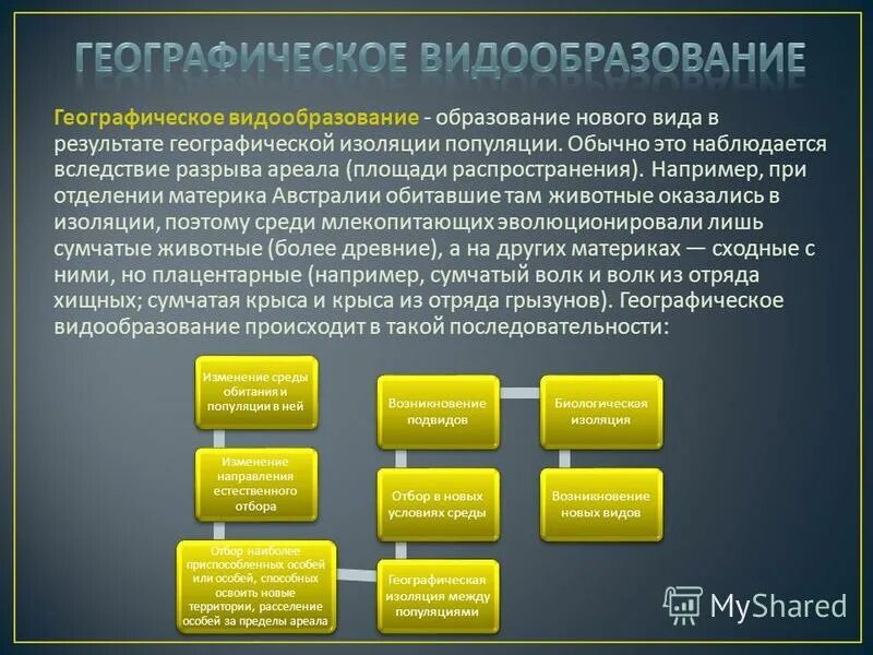 Что может быть причиной изменения площади ареала. Видообразование в результате географической изоляции. Географическая изоляция. Вследствие разрыва ареала происходит видообразование. Географическое видообразование.