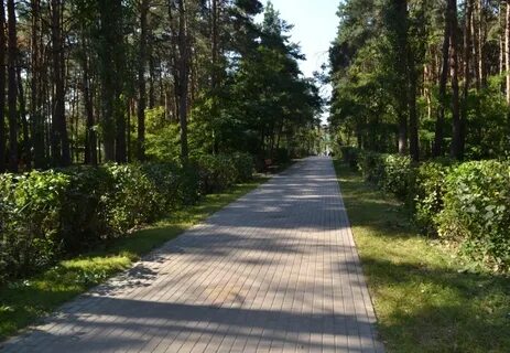 Парк танаис воронеж