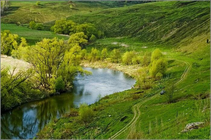 Осетр впадает. Река осётр Тульская область. Река осётр Московская. Река осётр Хрусловка. Деревня Власьево река осетр.