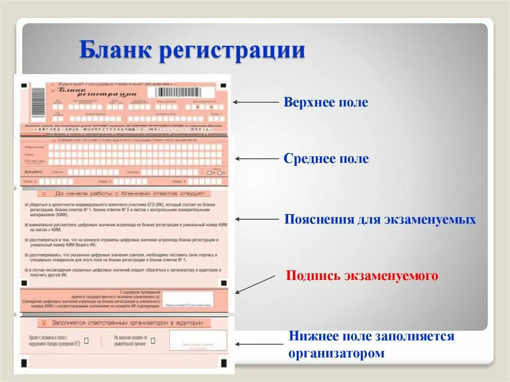 Образцы бланков егэ 2024. Заполнение Бланка регистрации ЕГЭ. Бланки заполнения ЕГЭ. Бланк регистрации. Пример заполениябланка регистрации ЕГЭ.