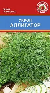 Укроп кал