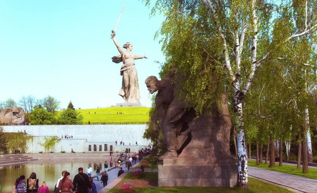 Зыкина росла в волгограде березка. В Волгограде березкнмаа Мамаевом Кургане. Мамаев Курган растет в Волгограде Березка. Береза на Мамаевом Кургане. Растёт в Волгограде берёзка.