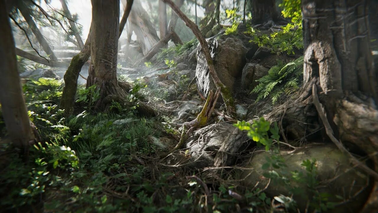 C get environment