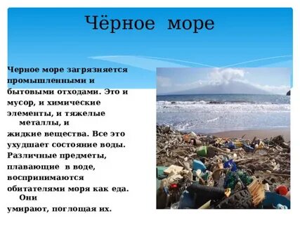 Экологические проблемы берингова моря и их решение